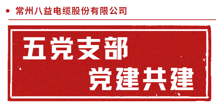 三門核電倒送電耐火電纜 五黨支部黨建共建！